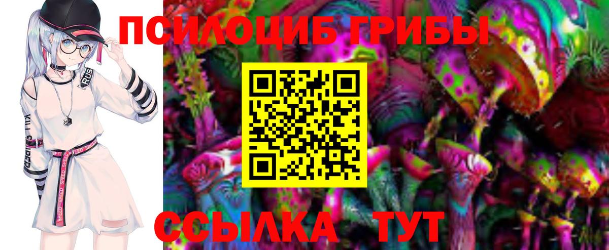 Кстово  Псилоцибиновые грибы Psilocybine cubensis  Вход с VPN 